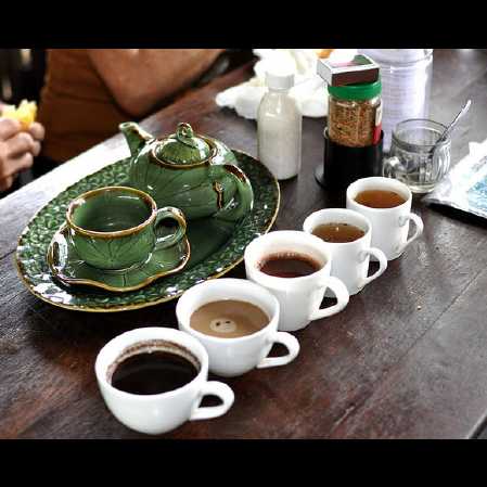 Bali Coffee