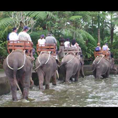Elephant Ride Bali