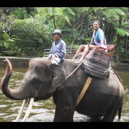 Elephant Ride Bali